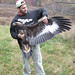 Todd Plummer Photo 36