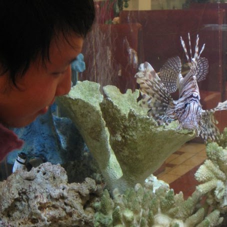 Ryan Kuo Photo 7