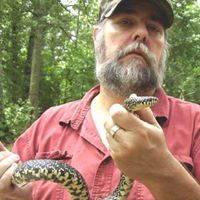 Steve Wirth Photo 6