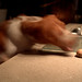 James Counter Photo 21