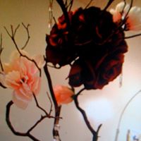 Cynthia Blanton Photo 5
