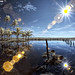 Nabil Ali Photo 34