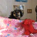 Michael Rossano Photo 17
