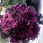 Judy Becerra Photo 14