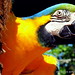Scott Haller Photo 42