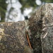 Myra Seals Photo 16
