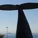 Tiburcio Torres Photo 22