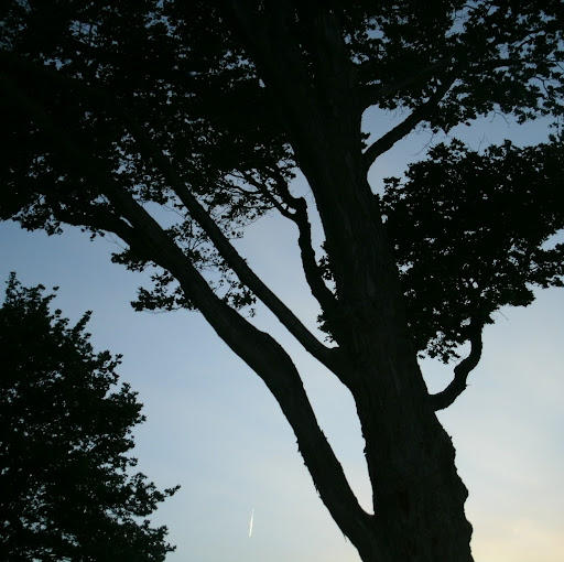 Evan Hart Photo 15