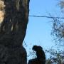 Shawn Cavanaugh Photo 22