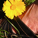 Caroline Clark Photo 38