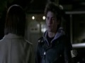 Amy Paladino Photo 7