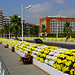 Fernando Puentes Photo 26