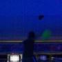 Aaron Wiebe Photo 26