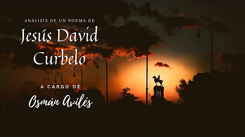 David Curbelo Photo 19