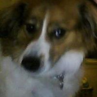 Gary Nowlin Photo 4