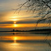 Dawn Wills Photo 24