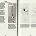 Marion Maurer Photo 14