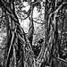 Steven Leu Photo 23