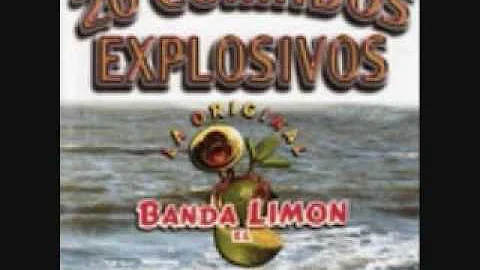 Leonardo Limon Photo 16