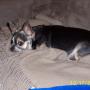 Teri Becker Photo 17