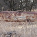 Jan Gilliland Photo 24