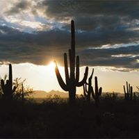 Jon Perrin Photo 6