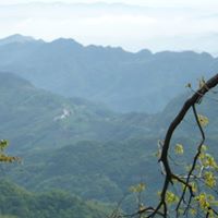 Yuan Ling Photo 4