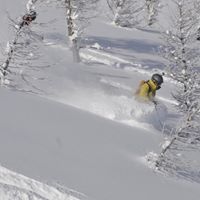 Alfonso Martin Photo 7