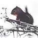 Douglas Winter Photo 38