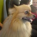 Frank Nutter Photo 14
