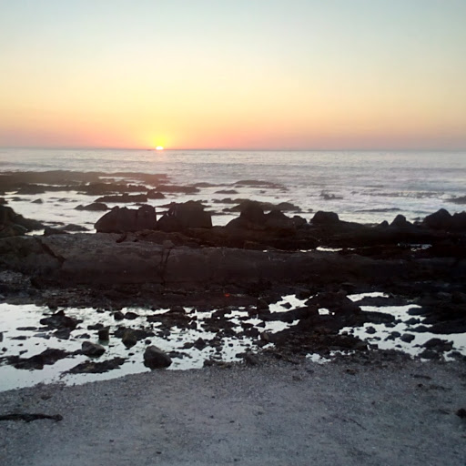 Paul Hillier Photo 14