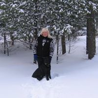 Cindy Wolfe Photo 4