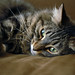 Daphne Browning Photo 15