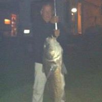 William Havner Photo 1