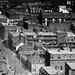 William Haut Photo 17