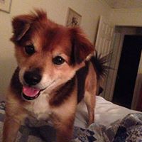 Ruth Shelton Photo 5