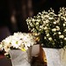 Eric Crowe Photo 43