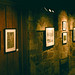 Jason Saling Photo 20