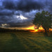 Michael Darrow Photo 39
