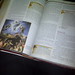 Thomas Bible Photo 22