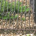 Art Erickson Photo 24