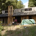 Janet Emmons Photo 13
