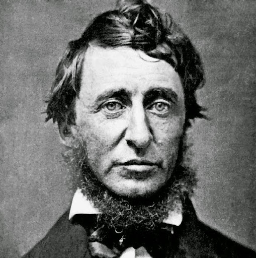 Michael Spillman Photo 13