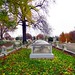 John Swaim Photo 29