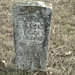 Stephen Cowan Photo 42