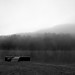 Jason Brouillard Photo 18
