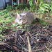 Toby Hunter Photo 30