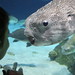 Jon Puffer Photo 20