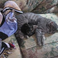Carol Shuey Photo 2