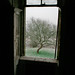 Ellen Johnston Photo 44